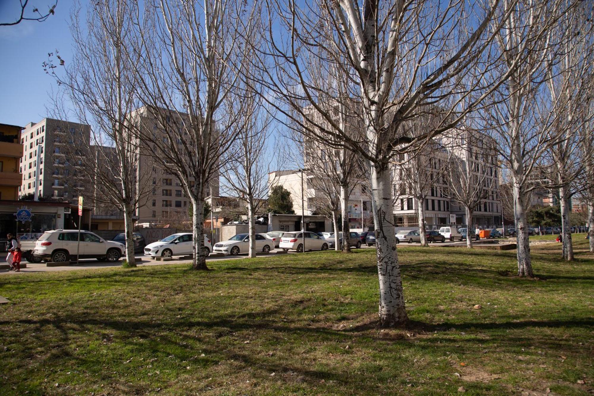 Park View Apartment Tirana Eksteriør billede